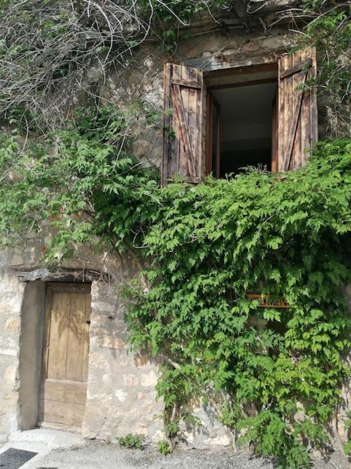 La Maison De La Vigne Bauduen Exterior photo